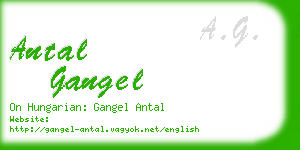 antal gangel business card